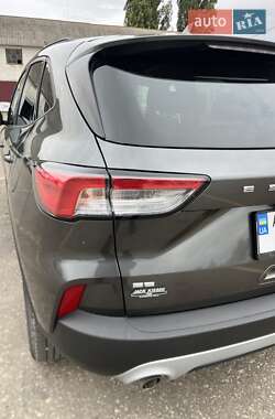 Внедорожник / Кроссовер Ford Escape 2020 в 