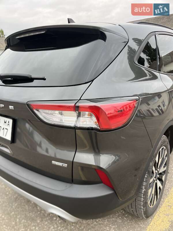 Внедорожник / Кроссовер Ford Escape 2020 в Шаргороде фото 10 Внедорожник / Кроссовер Ford Escape 2020 в Шаргороде