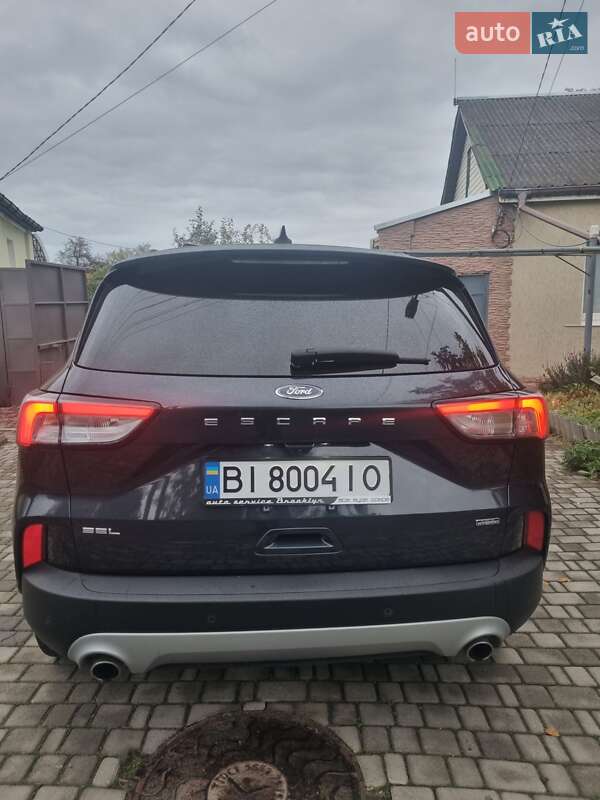 Внедорожник / Кроссовер Ford Escape 2022 в Полтаве фото 4 Внедорожник / Кроссовер Ford Escape 2022 в Полтаве