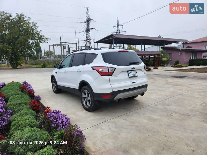 Позашляховик / Кросовер Ford Escape 2018 в Ставищі фото 2 Позашляховик / Кросовер Ford Escape 2018 в Ставищі