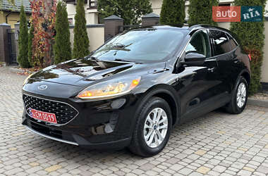 Позашляховик / Кросовер Ford Escape 2020 в Львові
