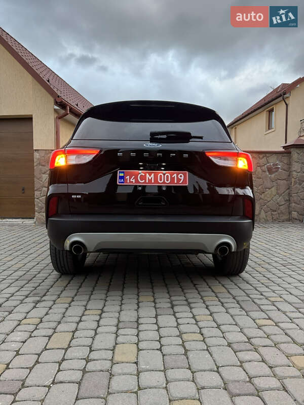 Позашляховик / Кросовер Ford Escape 2020 в Львові