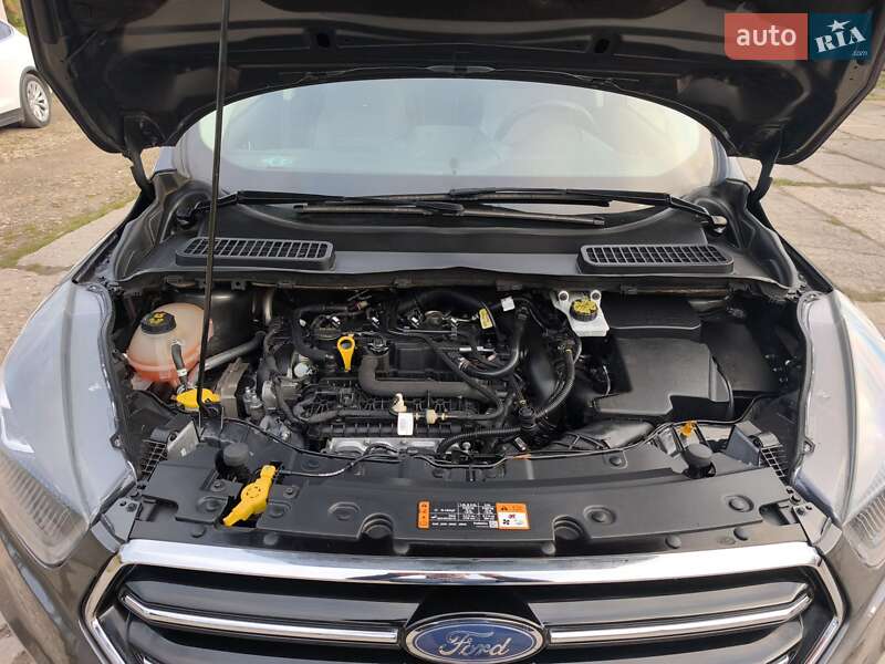 Позашляховик / Кросовер Ford Escape 2019 в Стрию фото 42 Позашляховик / Кросовер Ford Escape 2019 в Стрию