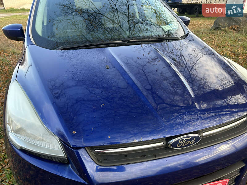 Позашляховик / Кросовер Ford Escape 2014 в Луцьку