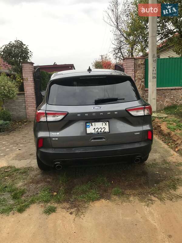 Внедорожник / Кроссовер Ford Escape 2021 в Киеве