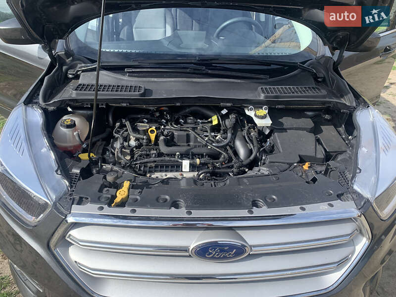 Внедорожник / Кроссовер Ford Escape 2019 в Харькове