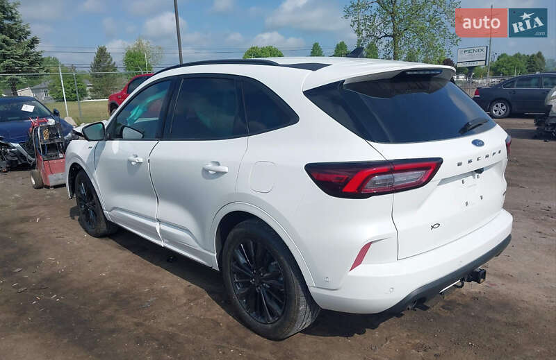 Позашляховик / Кросовер Ford Escape 2024 в  фото Позашляховик / Кросовер Ford Escape 2024 в