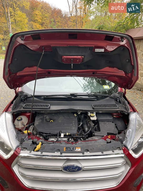Позашляховик / Кросовер Ford Escape 2017 в Чернівцях фото 16 Позашляховик / Кросовер Ford Escape 2017 в Чернівцях
