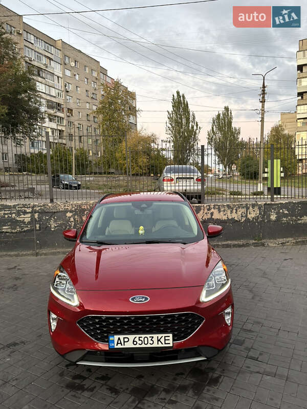 Внедорожник / Кроссовер Ford Escape 2019 в Запорожье фото 13 Внедорожник / Кроссовер Ford Escape 2019 в Запорожье