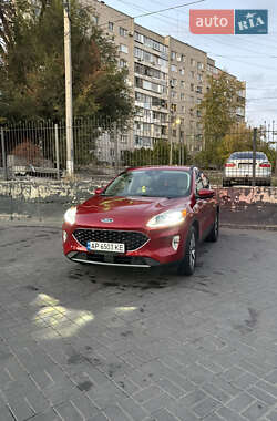 Позашляховик / Кросовер Ford Escape 2019 в Запоріжжі