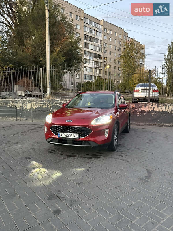 Внедорожник / Кроссовер Ford Escape 2019 в Запорожье фото Внедорожник / Кроссовер Ford Escape 2019 в Запорожье