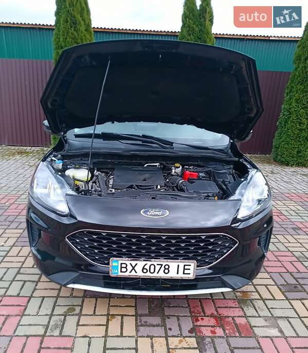 Внедорожник / Кроссовер Ford Escape 2020 в Изяславе
