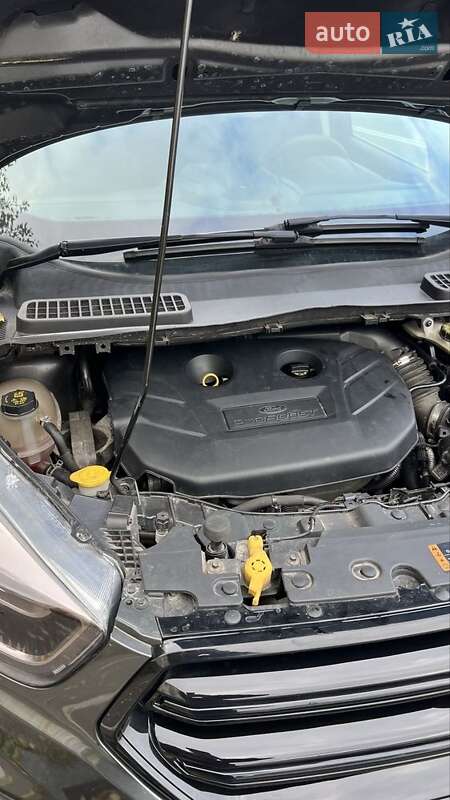 Внедорожник / Кроссовер Ford Escape 2016 в Киеве фото 10 Внедорожник / Кроссовер Ford Escape 2016 в Киеве