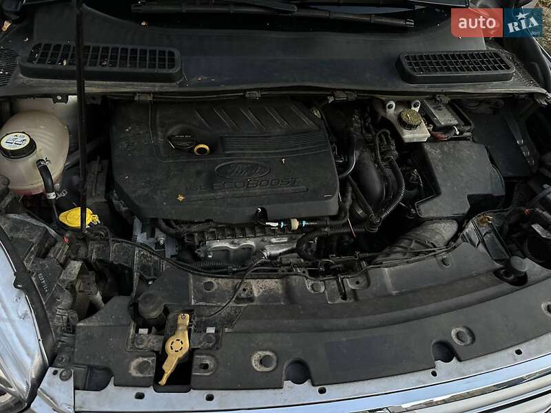 Внедорожник / Кроссовер Ford Escape 2018 в Львове