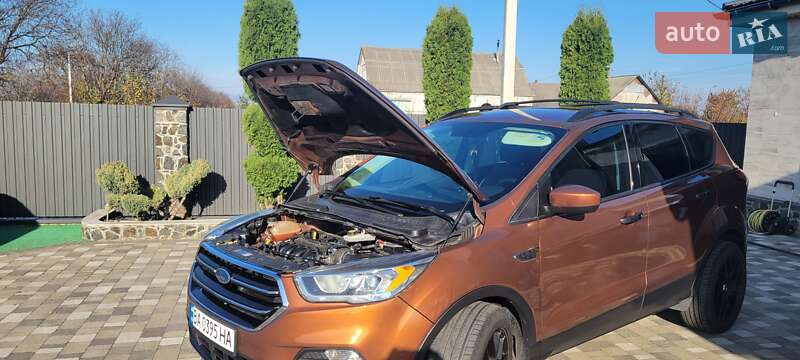 Внедорожник / Кроссовер Ford Escape 2016 в Гайвороне фото 43 Внедорожник / Кроссовер Ford Escape 2016 в Гайвороне