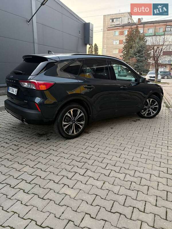 Позашляховик / Кросовер Ford Escape 2022 в Шепетівці