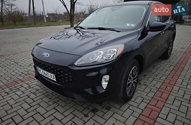 Внедорожник / Кроссовер Ford Escape 2021 в Золочеве