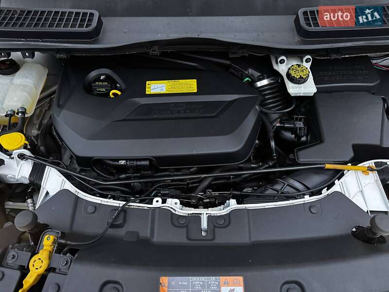Внедорожник / Кроссовер Ford Escape 2014 в Ахтырке фото 40 Внедорожник / Кроссовер Ford Escape 2014 в Ахтырке