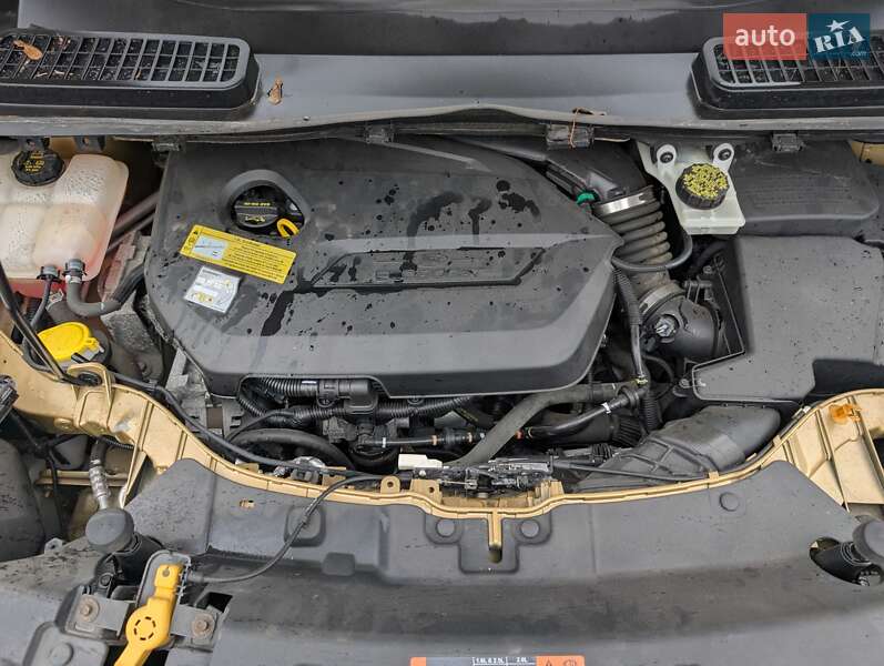Позашляховик / Кросовер Ford Escape 2014 в Рівному фото 51 Позашляховик / Кросовер Ford Escape 2014 в Рівному