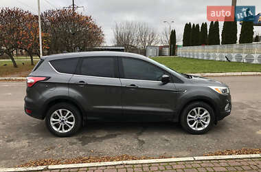 Позашляховик / Кросовер Ford Escape 2016 в Рівному