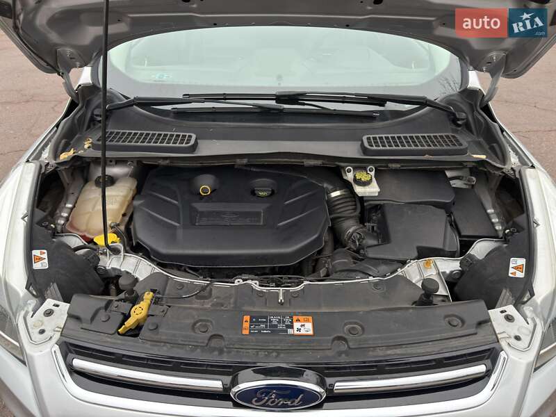 Внедорожник / Кроссовер Ford Escape 2015 в Чернигове фото 23 Внедорожник / Кроссовер Ford Escape 2015 в Чернигове