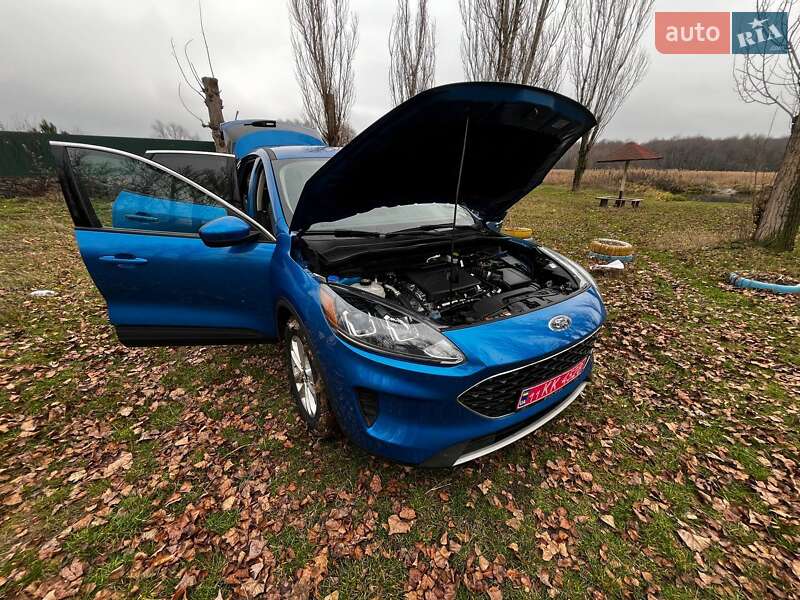 Позашляховик / Кросовер Ford Escape 2020 в Саврані