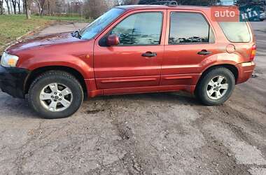 Внедорожник / Кроссовер Ford Escape 2006 в Чернигове
