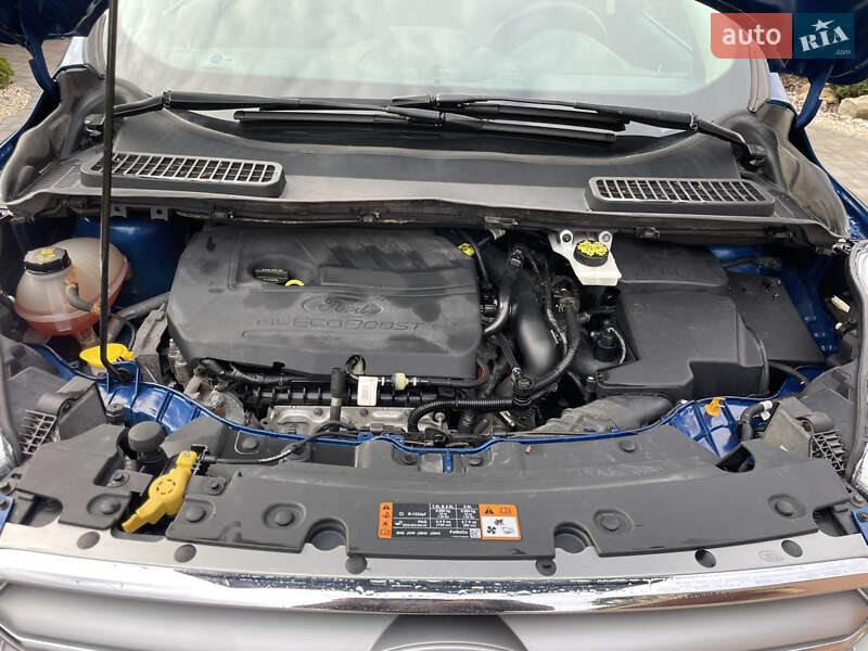 Внедорожник / Кроссовер Ford Escape 2017 в Ровно фото 30 Внедорожник / Кроссовер Ford Escape 2017 в Ровно