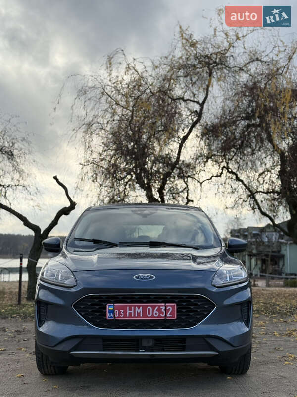 Внедорожник / Кроссовер Ford Escape 2020 в Джулинке фото 8 Внедорожник / Кроссовер Ford Escape 2020 в Джулинке