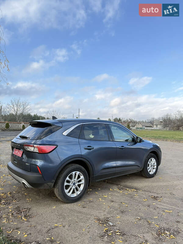 Внедорожник / Кроссовер Ford Escape 2020 в Джулинке фото 11 Внедорожник / Кроссовер Ford Escape 2020 в Джулинке