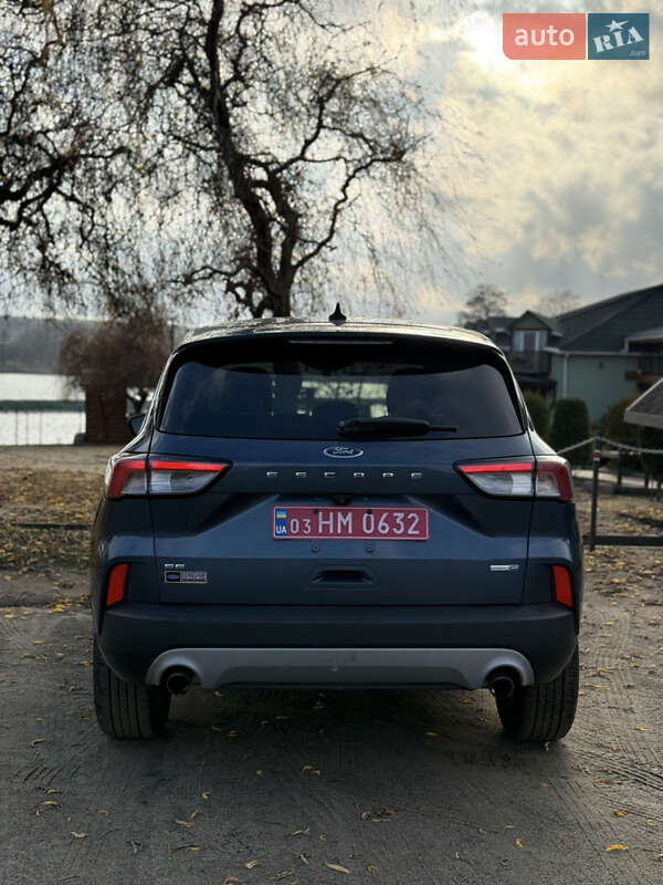 Внедорожник / Кроссовер Ford Escape 2020 в Джулинке фото 37 Внедорожник / Кроссовер Ford Escape 2020 в Джулинке