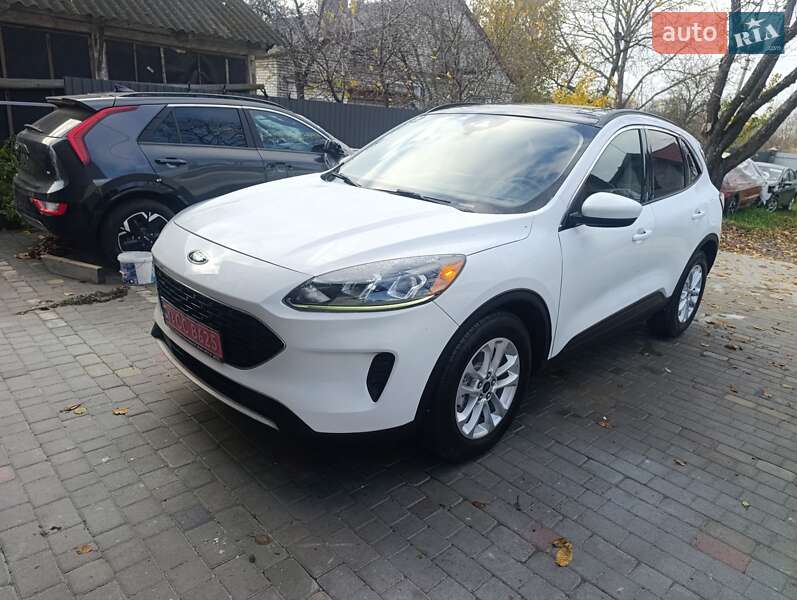 Внедорожник / Кроссовер Ford Escape 2020 в Нововолынске