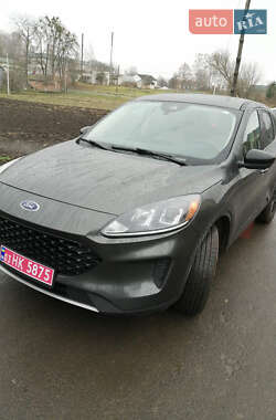 Позашляховик / Кросовер Ford Escape 2020 в Шептицькому