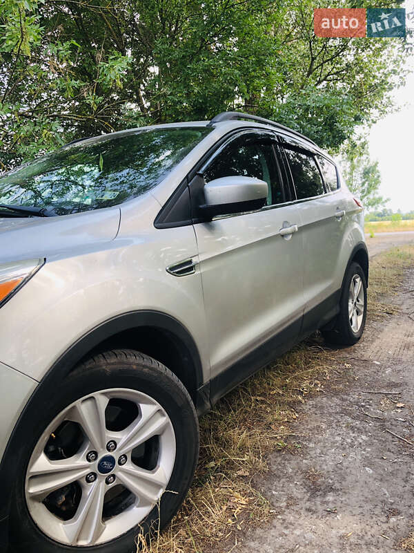Внедорожник / Кроссовер Ford Escape 2013 в Бердичеве фото Внедорожник / Кроссовер Ford Escape 2013 в Бердичеве