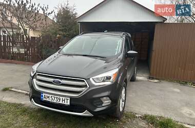 Внедорожник / Кроссовер Ford Escape 2019 в Романове