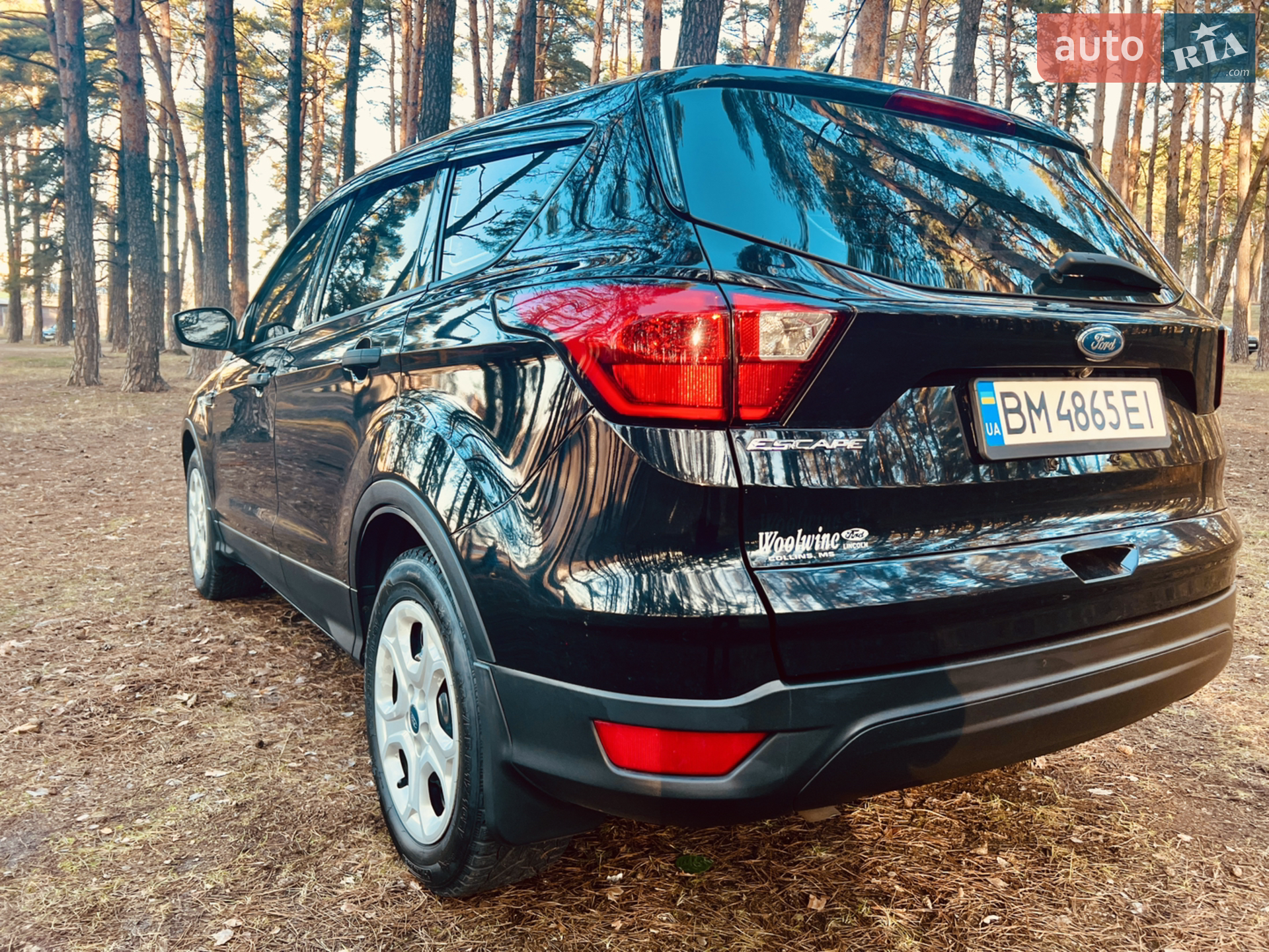 2019 Ford Escape - мініатюра 4
