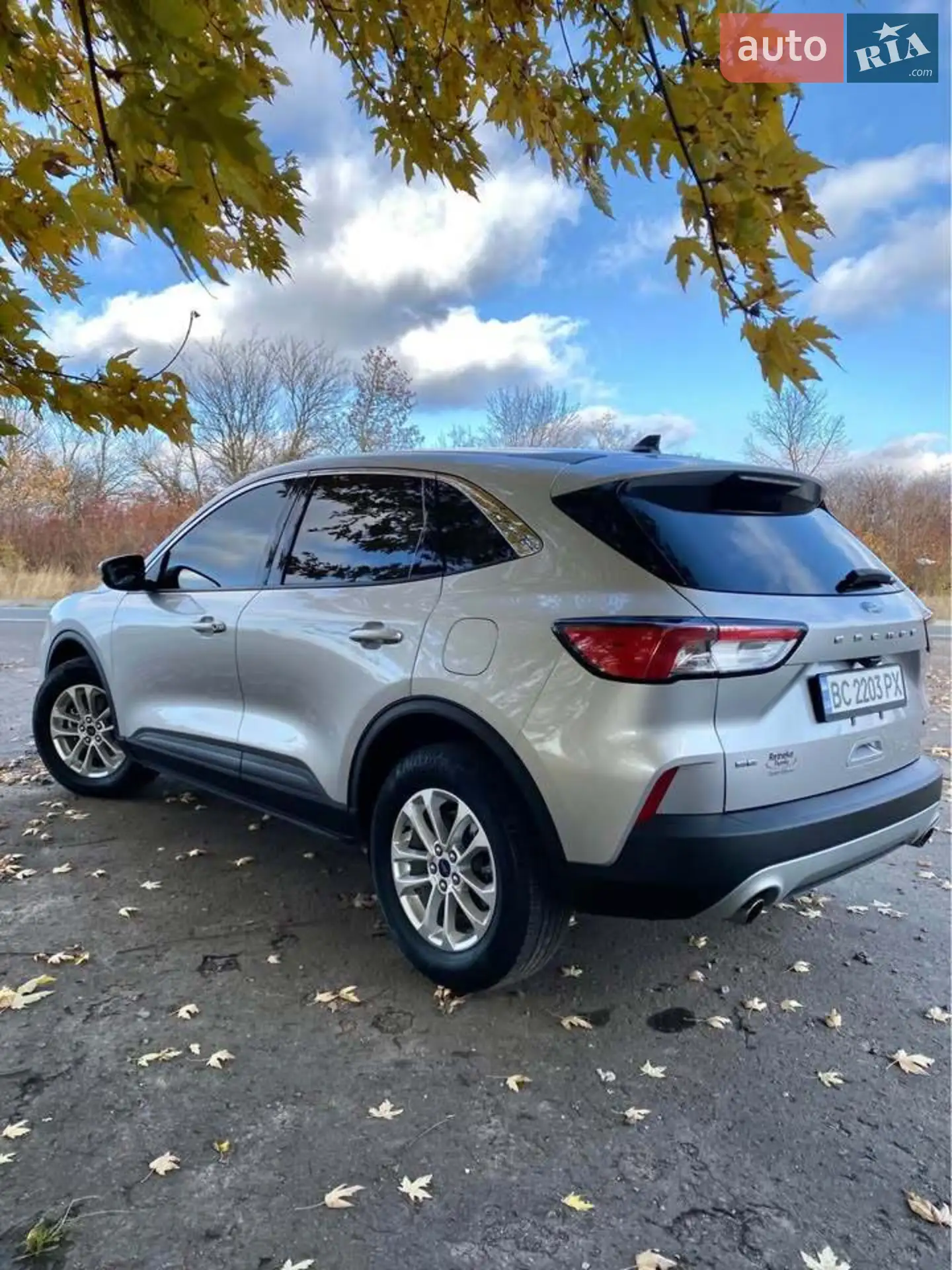 2019 Ford Escape - мініатюра 2