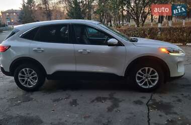Внедорожник / Кроссовер Ford Escape 2020 в Дубно