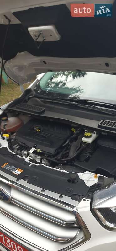 Позашляховик / Кросовер Ford Escape 2017 в Житомирі