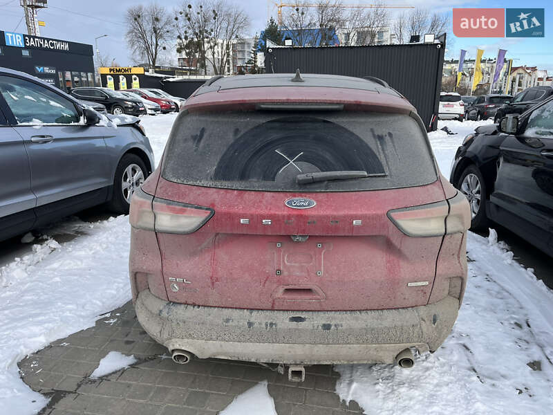 Внедорожник / Кроссовер Ford Escape 2020 в Львове