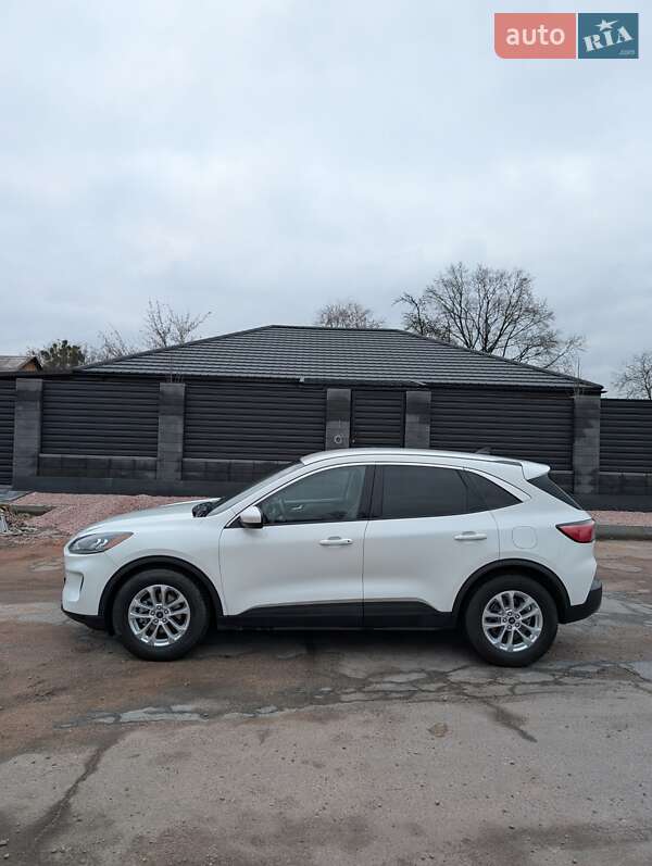 Внедорожник / Кроссовер Ford Escape 2020 в Житомире фото 7 Внедорожник / Кроссовер Ford Escape 2020 в Житомире