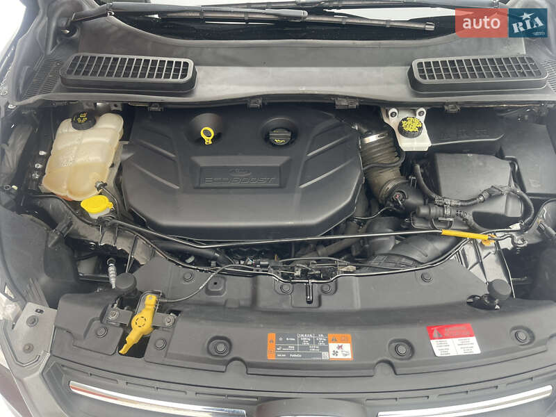 Внедорожник / Кроссовер Ford Escape 2015 в Тернополе