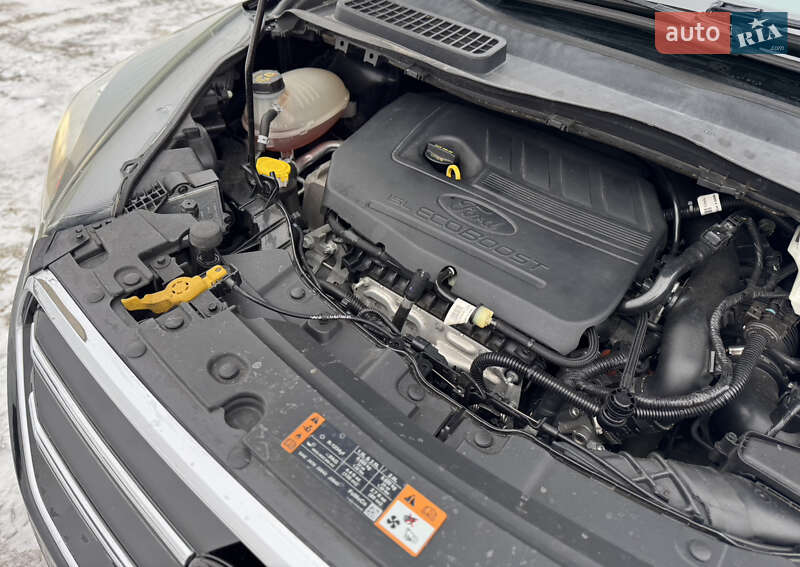 Позашляховик / Кросовер Ford Escape 2017 в Дубні