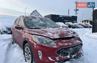 Внедорожник / Кроссовер Ford Escape 2020 в Львове