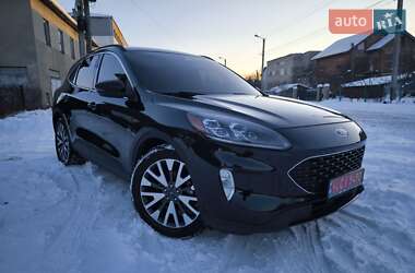 Внедорожник / Кроссовер Ford Escape 2020 в Ивано-Франковске