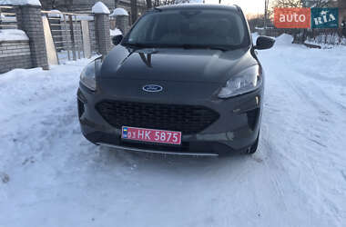 Внедорожник / Кроссовер Ford Escape 2020 в Шептицькому