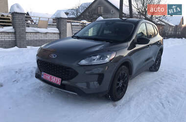 Внедорожник / Кроссовер Ford Escape 2020 в Шептицькому