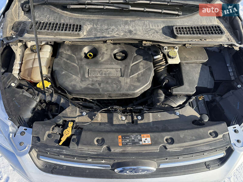 Внедорожник / Кроссовер Ford Escape 2016 в Полтаве фото 39 Внедорожник / Кроссовер Ford Escape 2016 в Полтаве