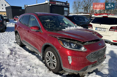 Внедорожник / Кроссовер Ford Escape 2020 в Львове