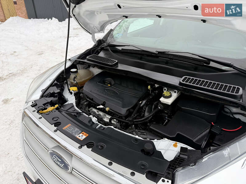 Внедорожник / Кроссовер Ford Escape 2019 в Дубно